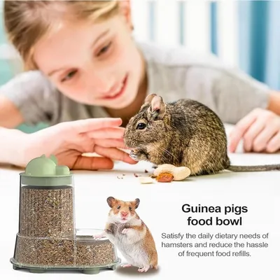 Pet Planet Hamsters Distributeur D'aliments Automatiques