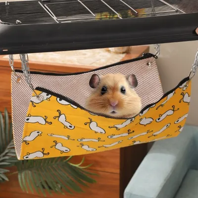 FurryFusion Hamac tunnel pour petits animaux FurryFusion Hamac tunnel pour petits animaux