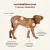 Treatsy Huile de Poissons Naturelle Oméga 3 - Mobilité pour chiens & chats