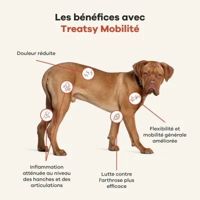 Treatsy Huile de Poissons Naturelle Oméga 3 - Mobilité pour chiens & chats