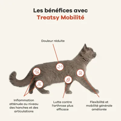 Treatsy Huile de Poissons Naturelle Oméga 3 - Mobilité pour chiens & chats