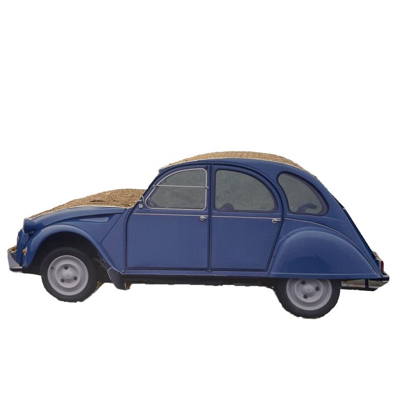 PET DESIGN Griffoir carton 2CV - 40 x 16 x 13 cm