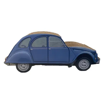 PET DESIGN Griffoir carton 2CV - 40 x 16 x 13 cm