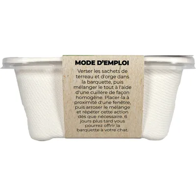 PET DESIGN Herbe à chat barquette - 300g - BIO
