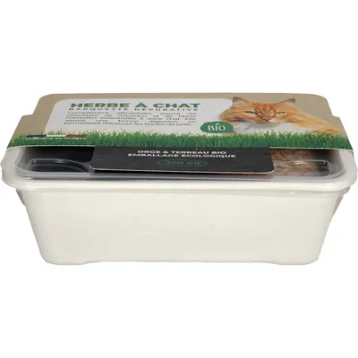 PET DESIGN Herbe à chat barquette - 300g - BIO