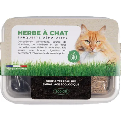 PET DESIGN Herbe à chat barquette - 300g - BIO PET DESIGN Herbe à chat barquette - 300g - BIO