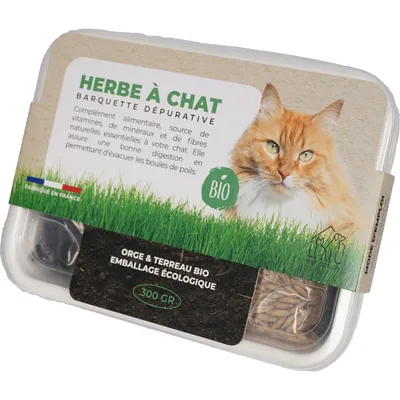 PET DESIGN Herbe à chat barquette - 300g - BIO