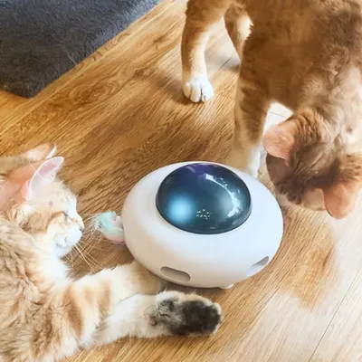 FurryFusion Jouet pour chat Soucoupe volante intelligente