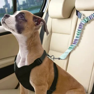 Furry Fusion Harnais de siège auto pour chien Gradient