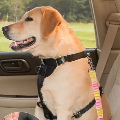 Furry Fusion Harnais de siège auto pour chien Gradient