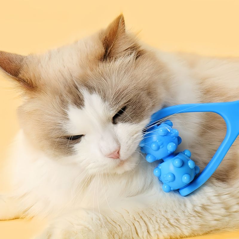 FurryFusion Brosse de massage pour chien et chat