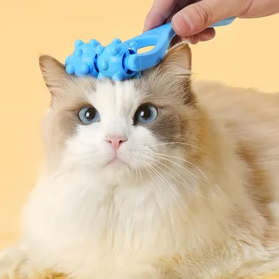FurryFusion Brosse de massage pour chien et chat