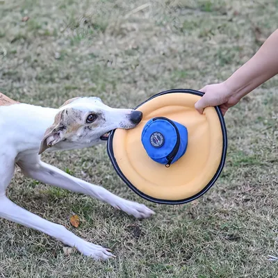 FurryFusion Frisbee pour chien en forme de chapeau