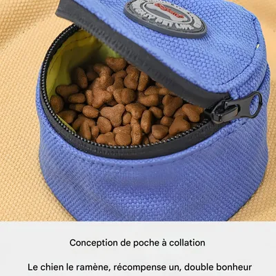 FurryFusion Frisbee pour chien en forme de chapeau