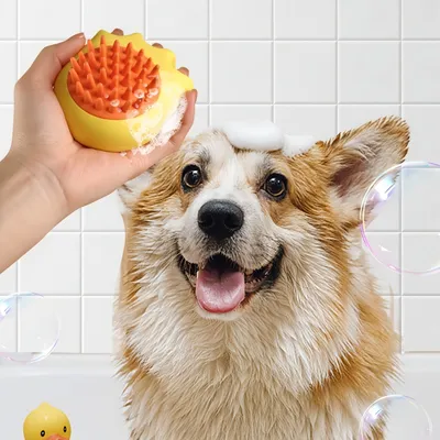 FurryFusion Brosse de bain pour pattes de chat