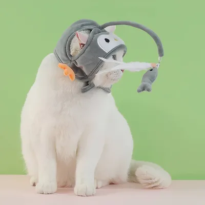 FurryFusion Jouet pour chat en plumes monté sur la tête