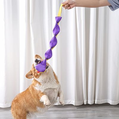 FurryFusion Jouet serpent bicolore pour chiens