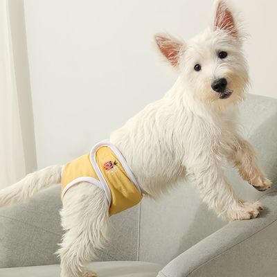 FurryFusion Couche hygiénique pour chien