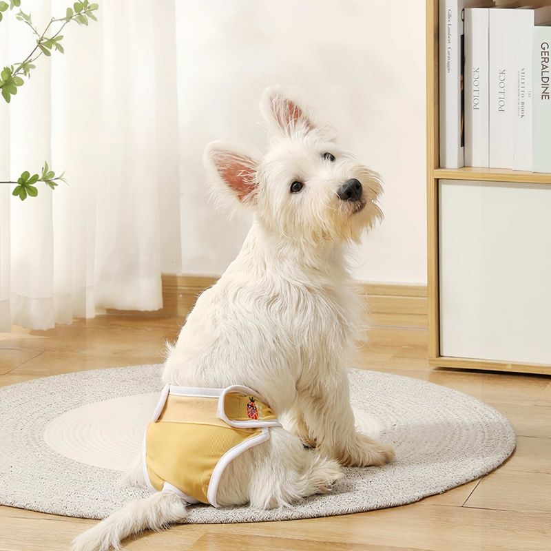 FurryFusion Couche hygiénique pour chien