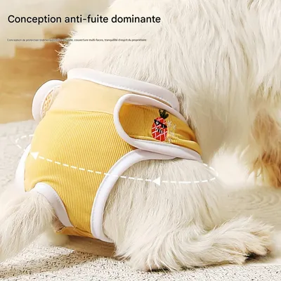 FurryFusion Couche hygiénique pour chien