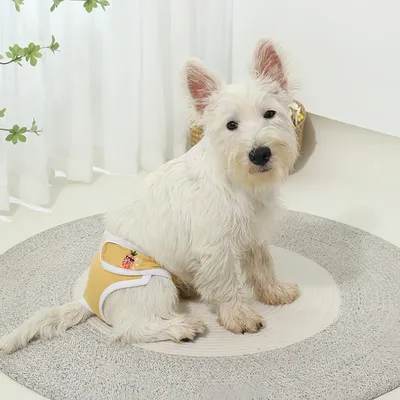 FurryFusion Couche hygiénique pour chien