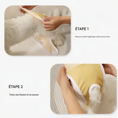 FurryFusion Couche hygiénique pour chien