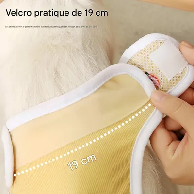 FurryFusion Couche hygiénique pour chien