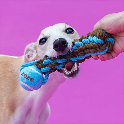 IntiMeg Balle en corde pour chien