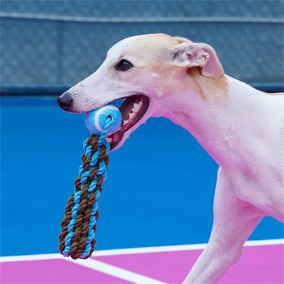 IntiMeg Balle en corde pour chien