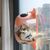 IntiMeg Hamac suspendu pour chat