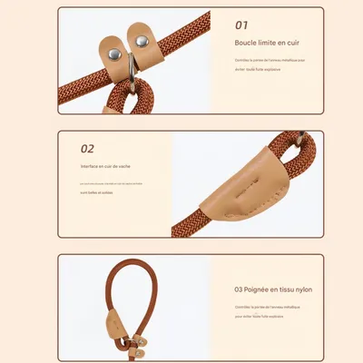 FurryFusion Laisse pour chien 1,8 m