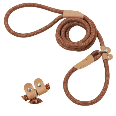 FurryFusion Laisse pour chien 1,8 m