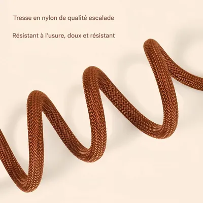 FurryFusion Laisse pour chien 1,8 m