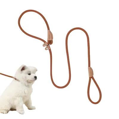 FurryFusion Laisse pour chien 1,8 m FurryFusion Laisse pour chien 1,8 m