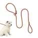FurryFusion Laisse pour chien 1,8 m