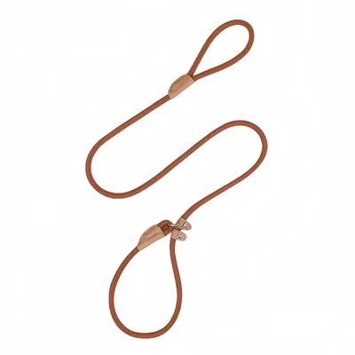 FurryFusion Laisse pour chien 1,8 m