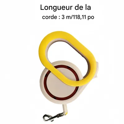 FurryFusion Laisse rétractable automatique 3 m