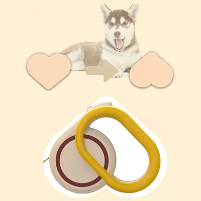 FurryFusion Laisse rétractable automatique 3 m