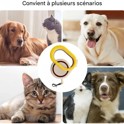 FurryFusion Laisse rétractable automatique 3 m