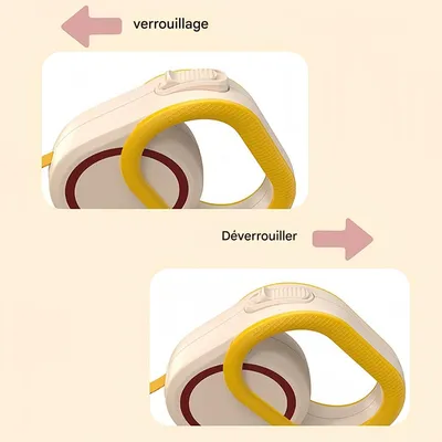 FurryFusion Laisse rétractable automatique 3 m