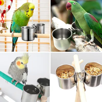 FurryFusion Mangeoire à oiseaux en acier inoxydable