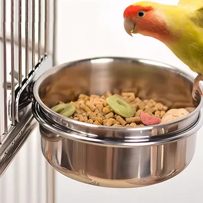 FurryFusion Lot de 2 mangeoires à oiseaux en acier inoxydable