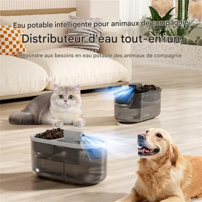IntiMeg Distributeur d'eau et de nourriture pour chat