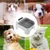 IntiMeg Mangeoire automatique pour chat et chien