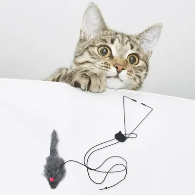 UAMLY Jouet souris en peluche à suspendre pour chat