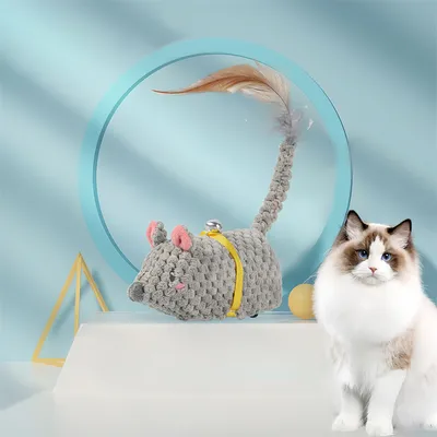 Pet Planet Petit rat électronique pour chat