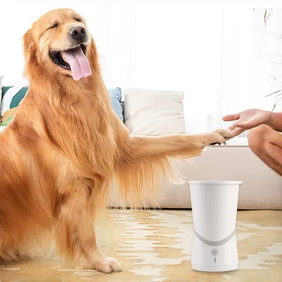Petopia Nettoyeur électrique de patte pour chien