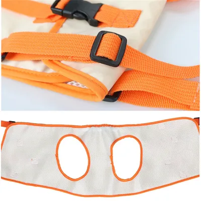 Pet Planet Ceinture d'assistance pour les pattes avant de chien