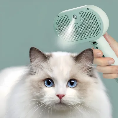 Petopia Brosse à vapeur pour chiens