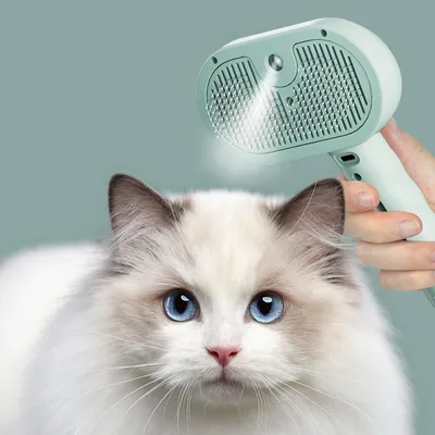 Petopia Brosse à vapeur pour chiens